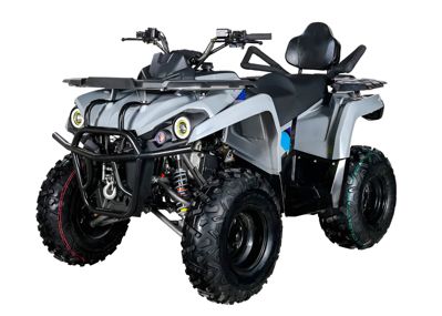 Квадроцикл AVANTIS Forester Long 200 Premium в Москве