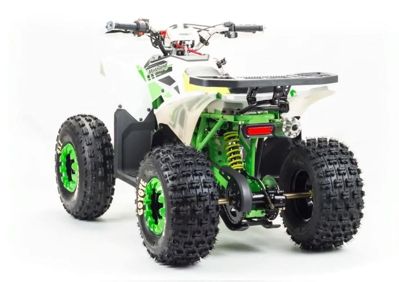 купить Квадроцикл MOTOLAND 125 Coyote (2021 Г.) в Москве - фото 