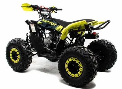 купить Квадроцикл MOTOLAND 125 Raptor в Москве - фото 