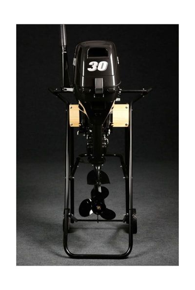 купить 2х-тактный лодочный мотор SUZUKI DT30S в Москве - фото 