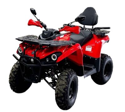 Квадроцикл BISON Hammer 250 PRO в Москве