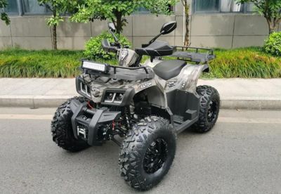 Квадроцикл MOTAX ATV Grizlik T200 Lux Б/У в Москве