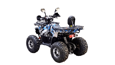 купить Квадроцикл BISON 125 Hunter LD в Москве - фото 