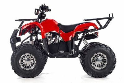 купить Квадроцикл RAPTOR Max Pro 150 в Москве - фото 