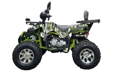 Квадроцикл GRIZZLY 200 Pro в Москве