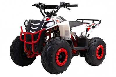 купить Квадроцикл WELS Thunder EVO M детский в Москве - фото 