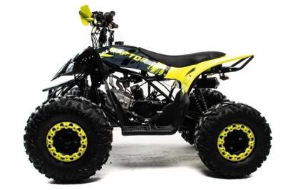 купить Квадроцикл MOTOLAND 125 Raptor в Москве - фото 