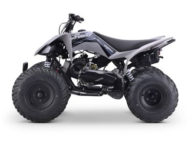 купить Квадроцикл SHARMAX Raizer Race Cup 250 в Москве - фото 