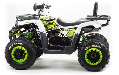 купить Квадроцикл MOTOLAND ATV 200 Wild Track в Москве - фото 
