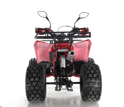 купить Квадроцикл WELS Thunder EVO X в Москве - фото 
