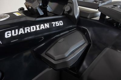 купить Квадроцикл HISUN Guardian 750S Short (ПСМ) в Москве - фото 