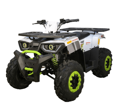 Квадроцикл AVANTIS H200 NEW (Баланс. вал) в Москве