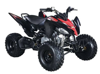 купить Квадроцикл ABM Scorpion 125M в Москве - фото 