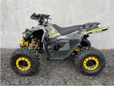 купить Квадроцикл FXMOTO Tank 125 в Москве - фото 