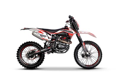 купить Мотоцикл кроссовый эндуро SHARMAX PowerMax 300 Air в Москве - фото 