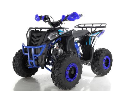 купить Квадроцикл WELS Thunder EVO в Москве - фото 