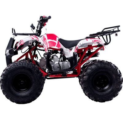 купить Квадроцикл WELS Thunder 125 Basic в Москве - фото 