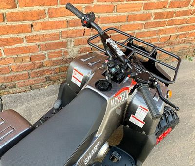 купить Квадроцикл MOWGLI Sharp в Москве - фото 