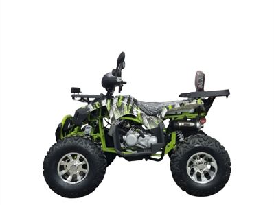 купить Квадроцикл GRIZZLY 200 Pro в Москве - фото 