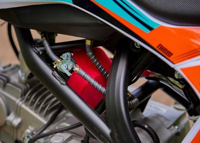 купить Мотоцикл питбайк SHARMAX Sport 145 Miami в Москве - фото 