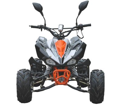 купить Квадроцикл MOTAX ATV T-Rex LUX 125 cc в Москве - фото 