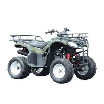 купить Квадроцикл WELS Purga 170 в Москве - фото 