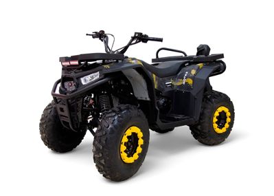 купить Квадроцикл MOTAX Grizlik W200 в Москве - фото 