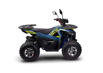 купить Квадроцикл AVANTIS Ray 8 Premium в Москве - фото 
