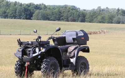 купить Квадроцикл BALTMOTORS Striker 700 EFI (ПСМ) в Москве - фото 