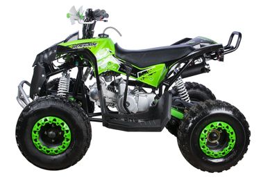 купить Квадроцикл YACOTA Renegade в Москве - фото 