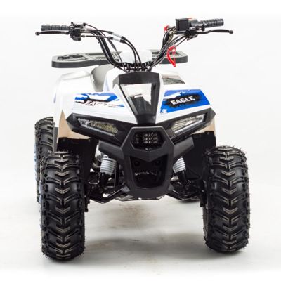 купить Квадроцикл MOTOLAND 110 Eagle (2021 Г.) в Москве - фото 