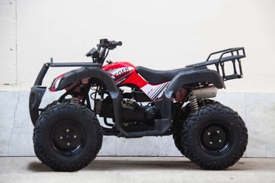 купить Квадроцикл UNIVERSAL Avenger JR 150 в Москве - фото 