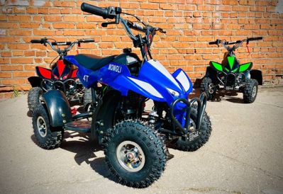 купить Квадроцикл MOWGLI 4T в Москве - фото 