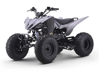 купить Квадроцикл SHARMAX Raizer Race Cup 250 в Москве - фото 