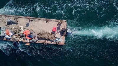 купить Дизельный лодочный мотор MIKATSU MD25FHL (2024) в Москве - фото 