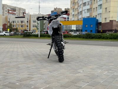 купить Мотоцикл JHL Z140E Pro PITBIKE в Москве - фото 