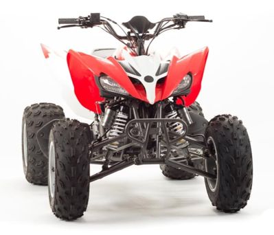 купить Квадроцикл MOTOLAND 125S (2020 Г.) в Москве - фото 