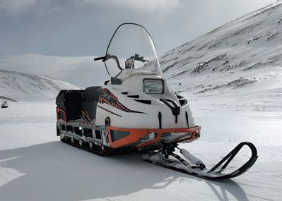 купить Снегоход TERRATRACK СПАРТАН Классика S в Москве - фото 