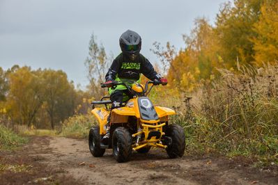 купить Квадроцикл SHARMAX 130 Cross в Москве - фото 