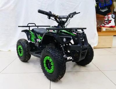 купить Электроквадроцикл MOTAX Grizlik X16 New E1000 в Москве - фото 