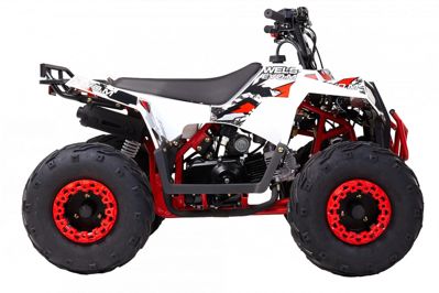 купить Квадроцикл WELS Thunder EVO M детский в Москве - фото 