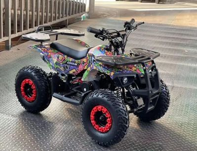 купить Электроквадроцикл MOTAX Grizlik X16 New E1000 в Москве - фото 