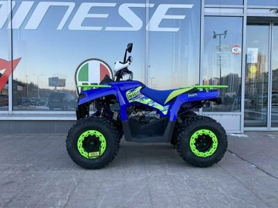 купить Квадроцикл IRIDE 200 ROVER в Москве - фото 