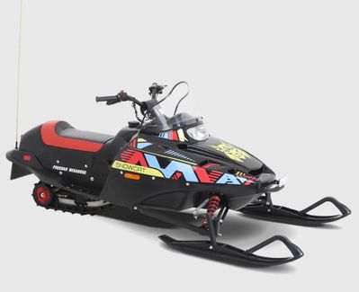 купить Снегоход РУССКАЯ МЕХАНИКА Тайга Рысь Детский в Москве - фото 