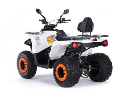купить Квадроцикл MOTAX ATV Grizlik 200 Ultra в Москве - фото 