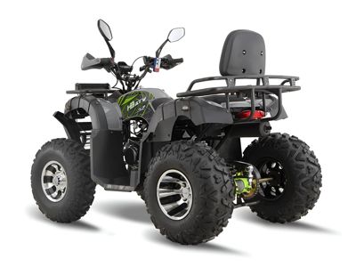 купить Квадроцикл GRIZZLY 200 Premium в Москве - фото 