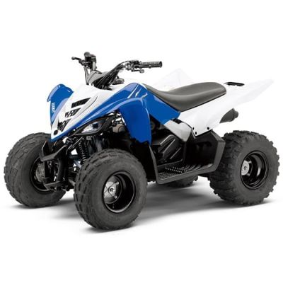Квадроцикл YAMAHA YFM90R (Raptor 90) в Москве
