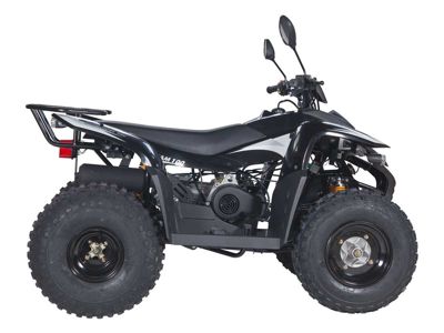 купить Квадроцикл BALTMOTORS Jam 100 в Москве - фото 