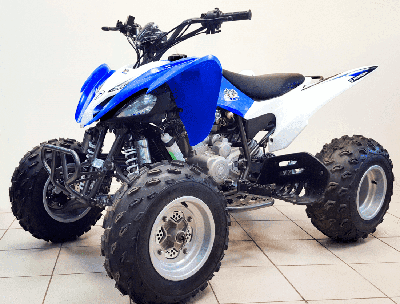 купить Квадроцикл MIKILON Rapide 250S в Москве - фото 