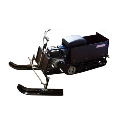 Мини-снегоход АЯВРИК в Москве